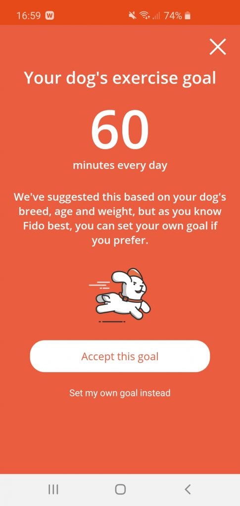 Can you over exercise a dog? - PitPat