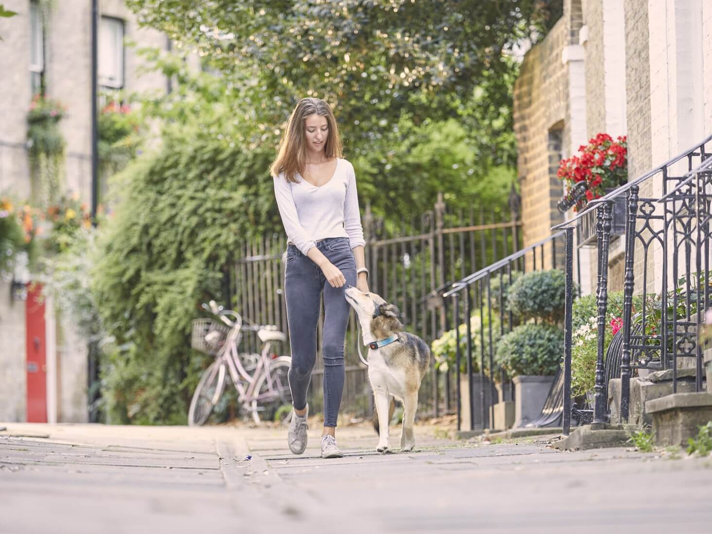 How to Find the Perfect Dog Walker