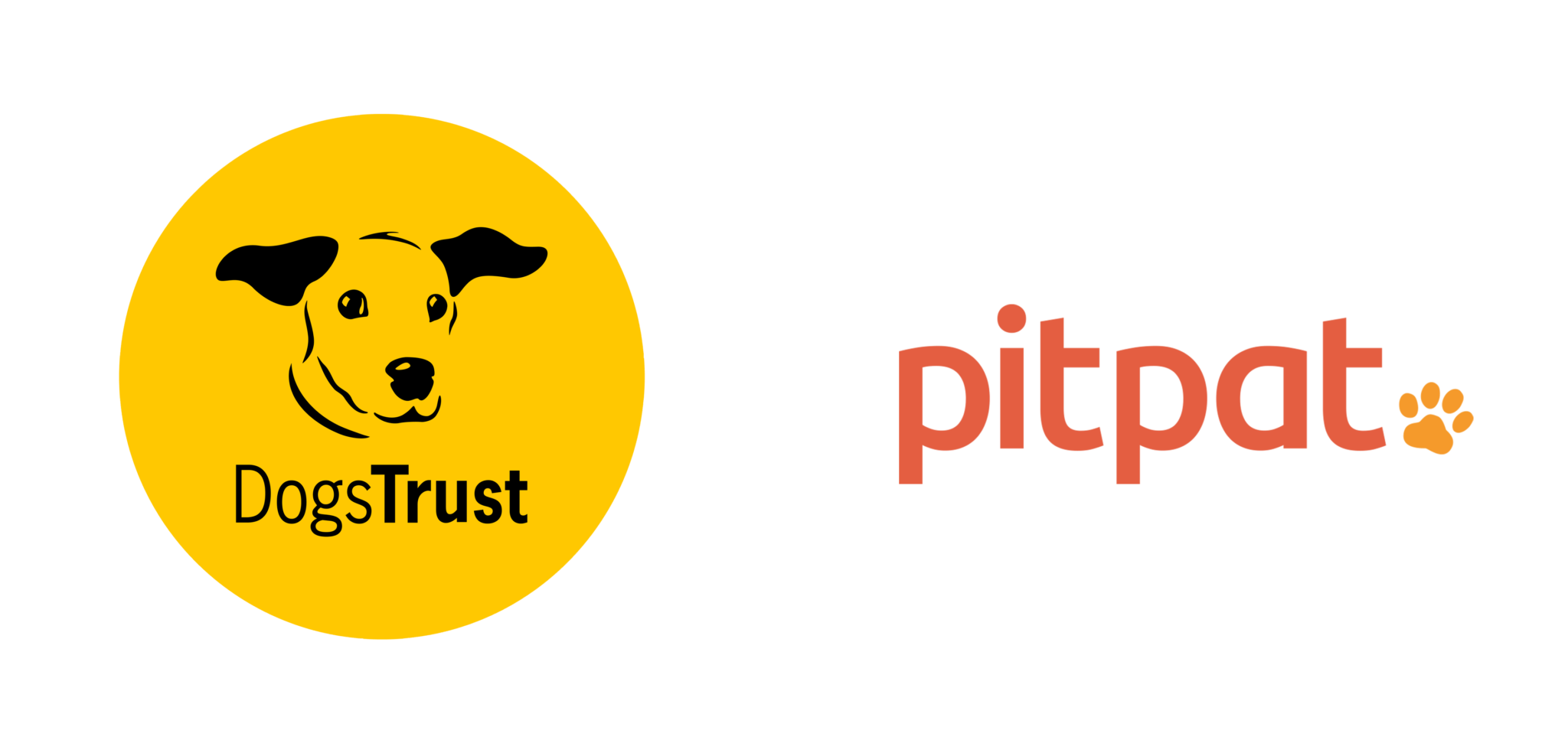 PitPat and Dogs Trust collaborate to help the UK's dogs