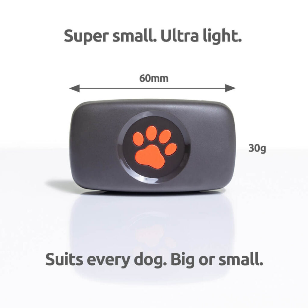 PitPat, Dog GPS Trackers and Dog Activity Monitors