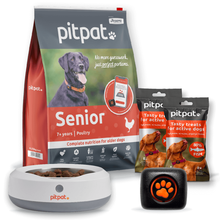 PitPat, Dog GPS Trackers and Dog Activity Monitors