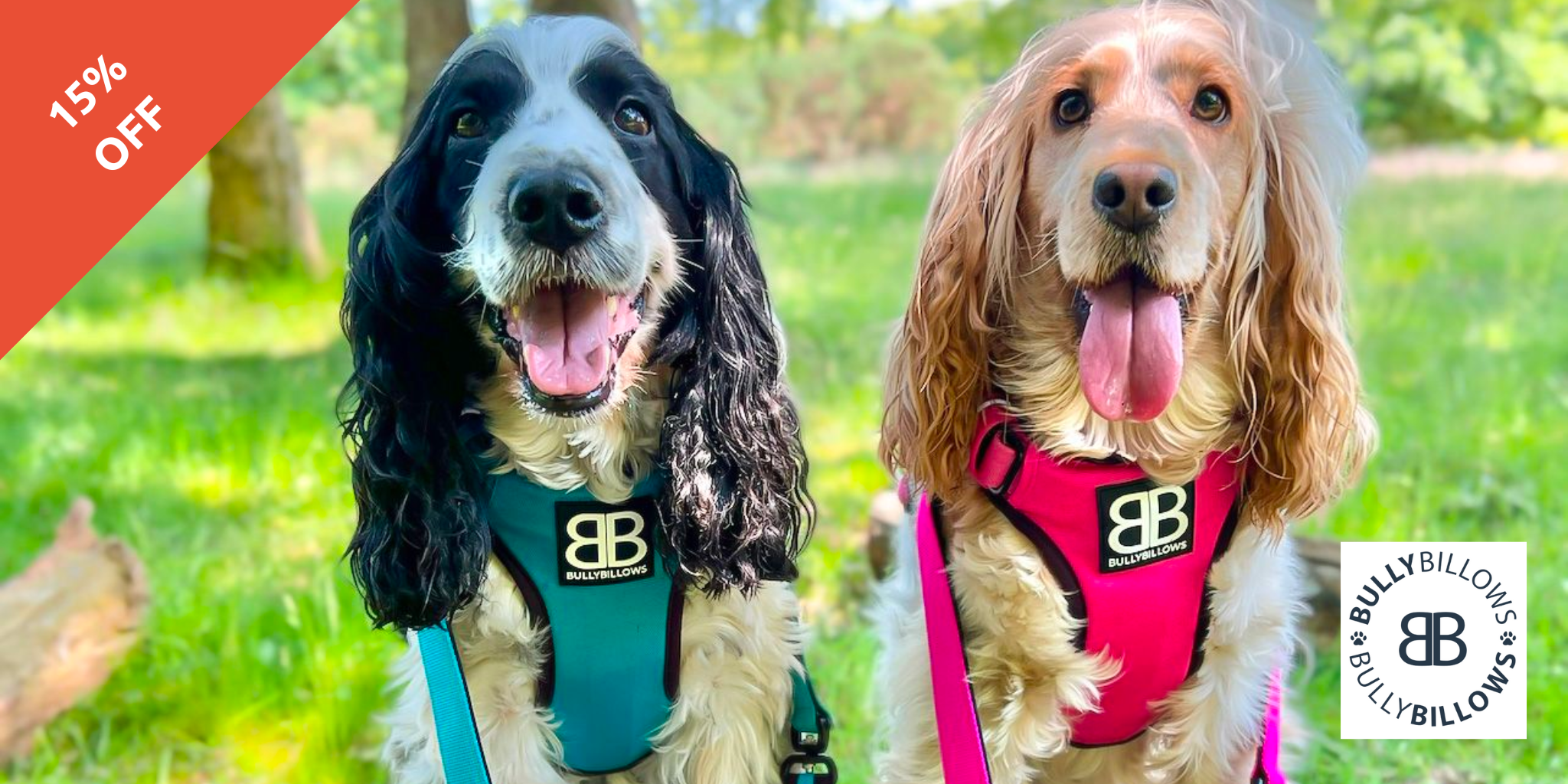 Two dogs wearing BullyBillows harnesses and leads.