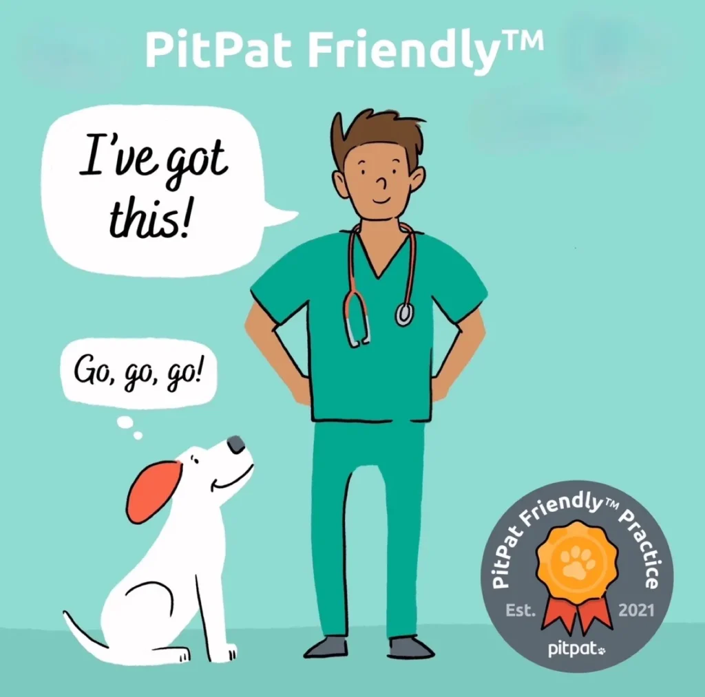 PitPat Friendly image with veterinarian and dog