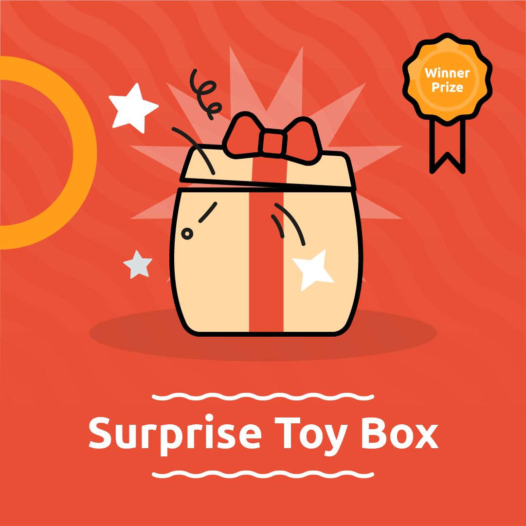 Surprise Toy Box